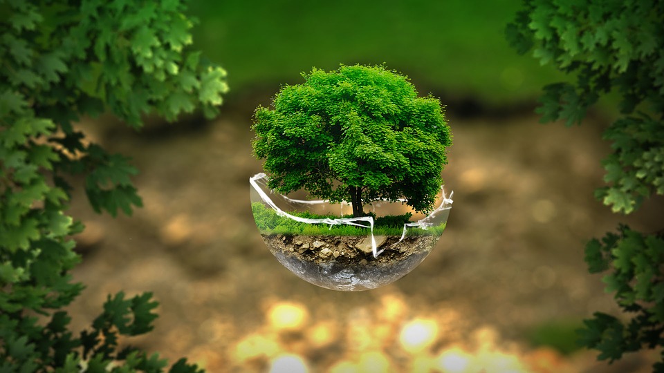 green jobs