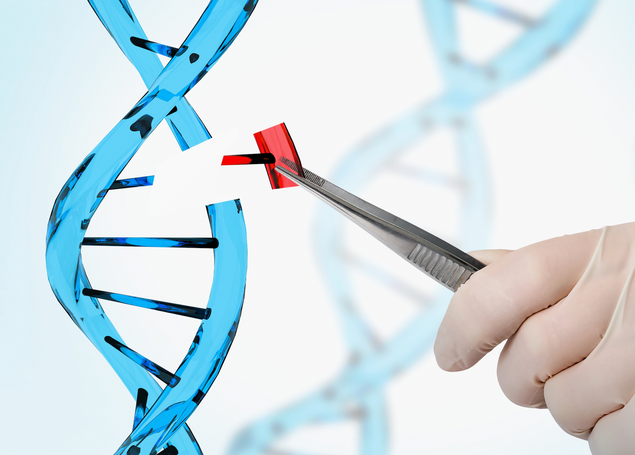 Genetics Test Ridgewood | Genectics Testing NJ | Genetic 